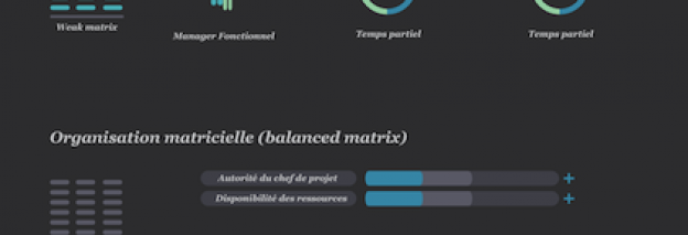 Influence organisationnelle sur la gestion de projet (infographie)