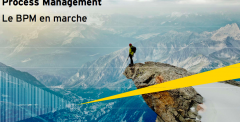 Panorama du Business Process Management